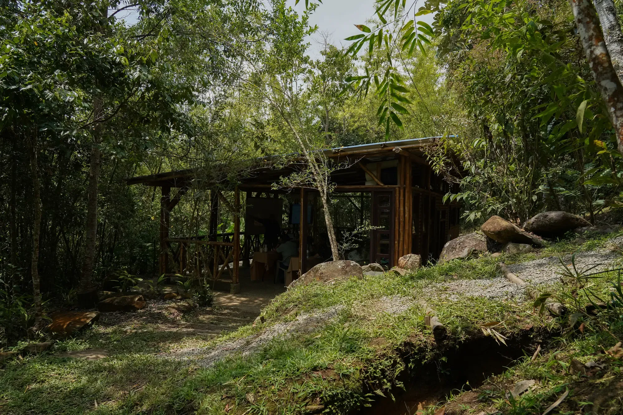 Cover image for home page.